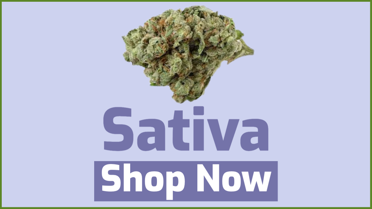 Sativa Cannabis | Jupiter Cannabis Winnipeg