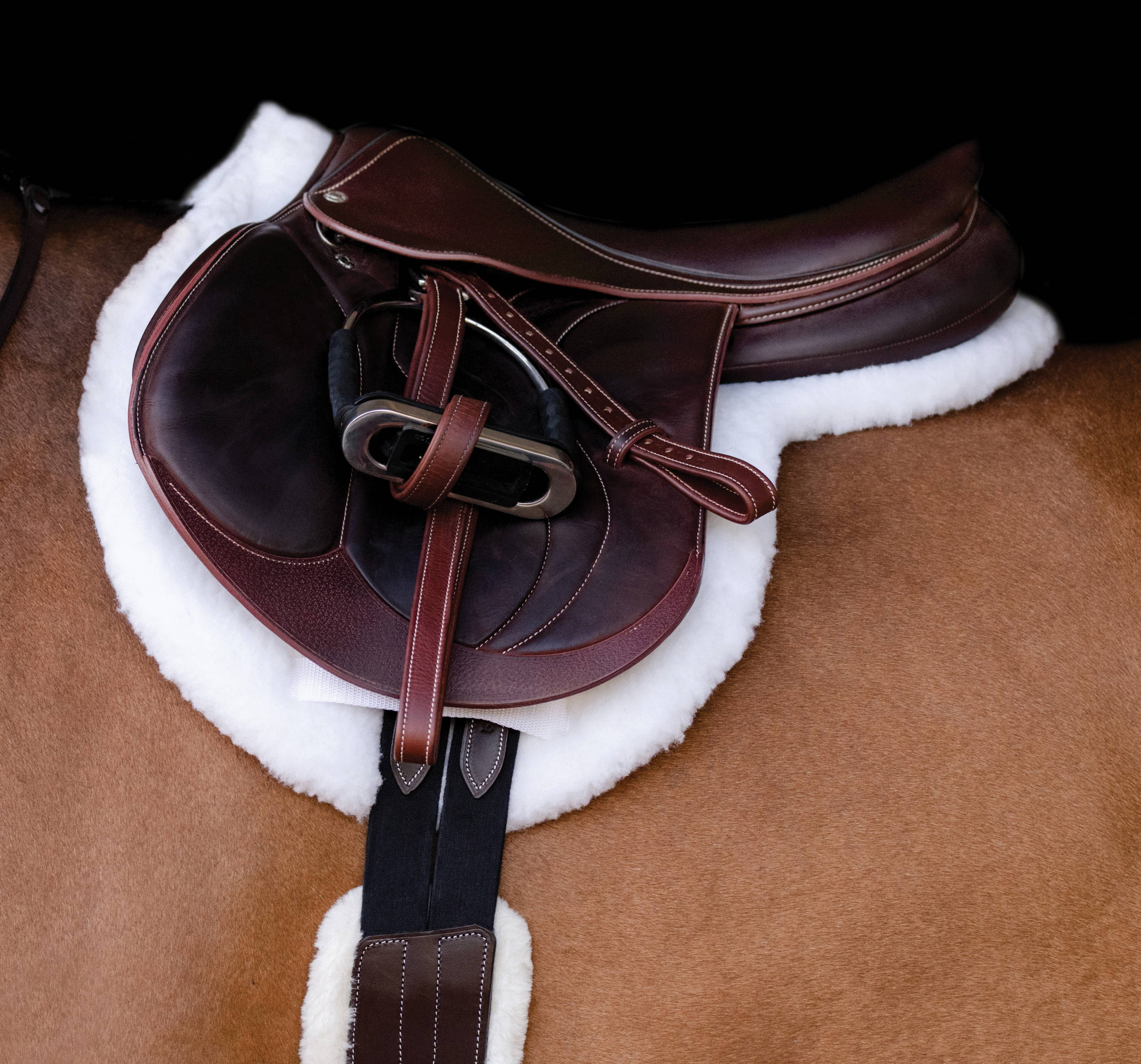 Essential Hunter Pad on Horse