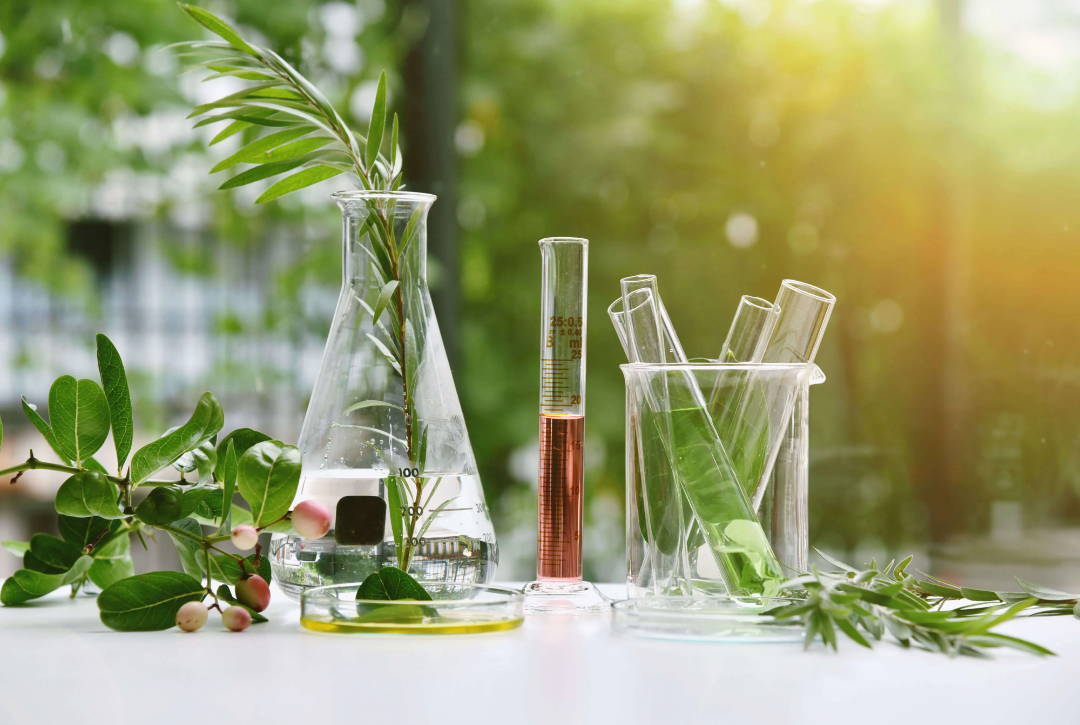 Laboratory glassware with plants and colorful liquids on a table.
