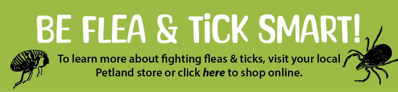 To learn more about fighting fleas & ticks, visit your local Petland store or click here to shop online.