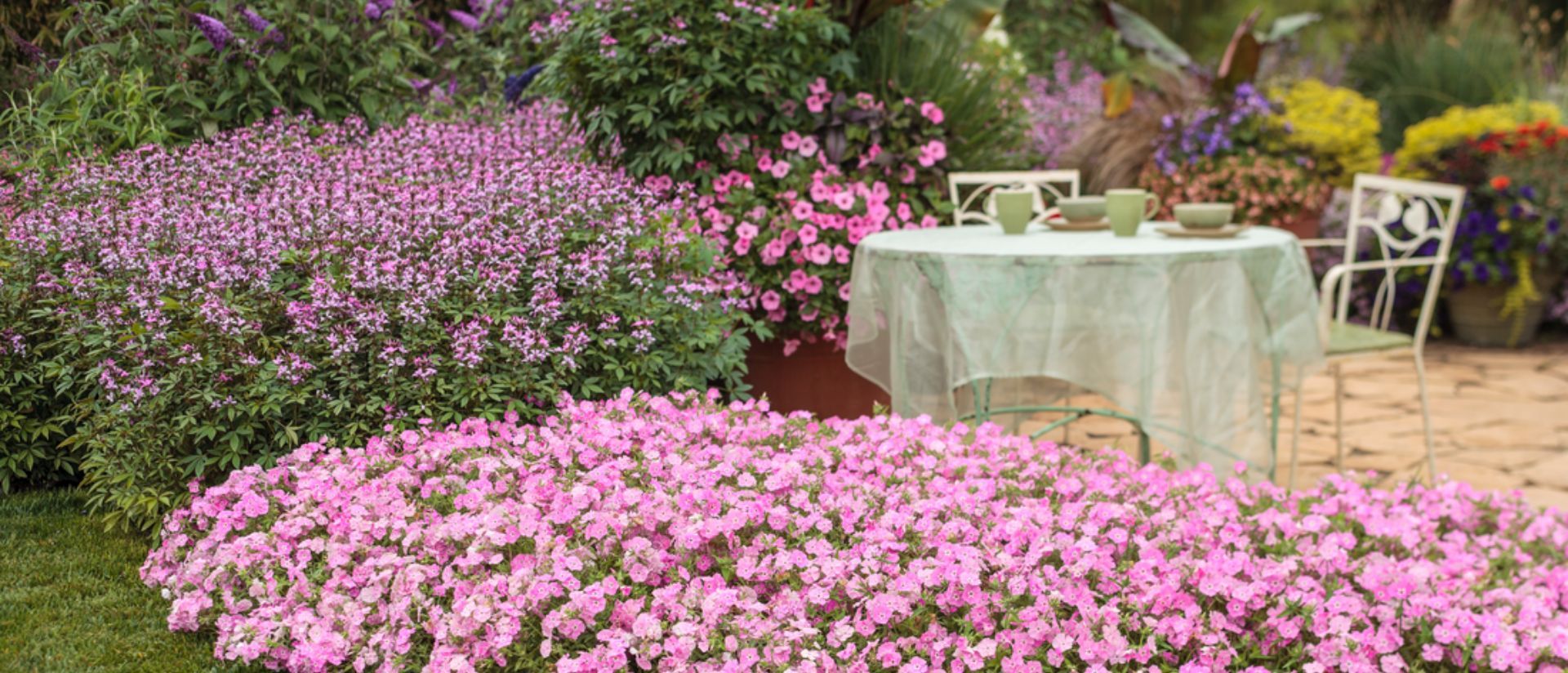 Pink Proven Winners Annuals planted in backyard surrounding a white table and chairs