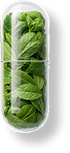 A capsule filled with fresh green mint leaves.