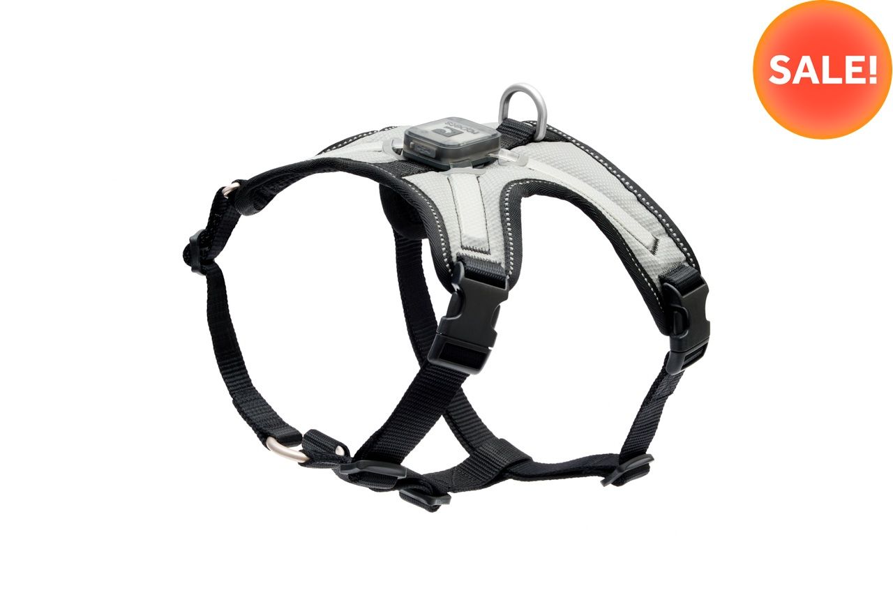 Dog Nova LED Light harness on a white background with a sale tag.