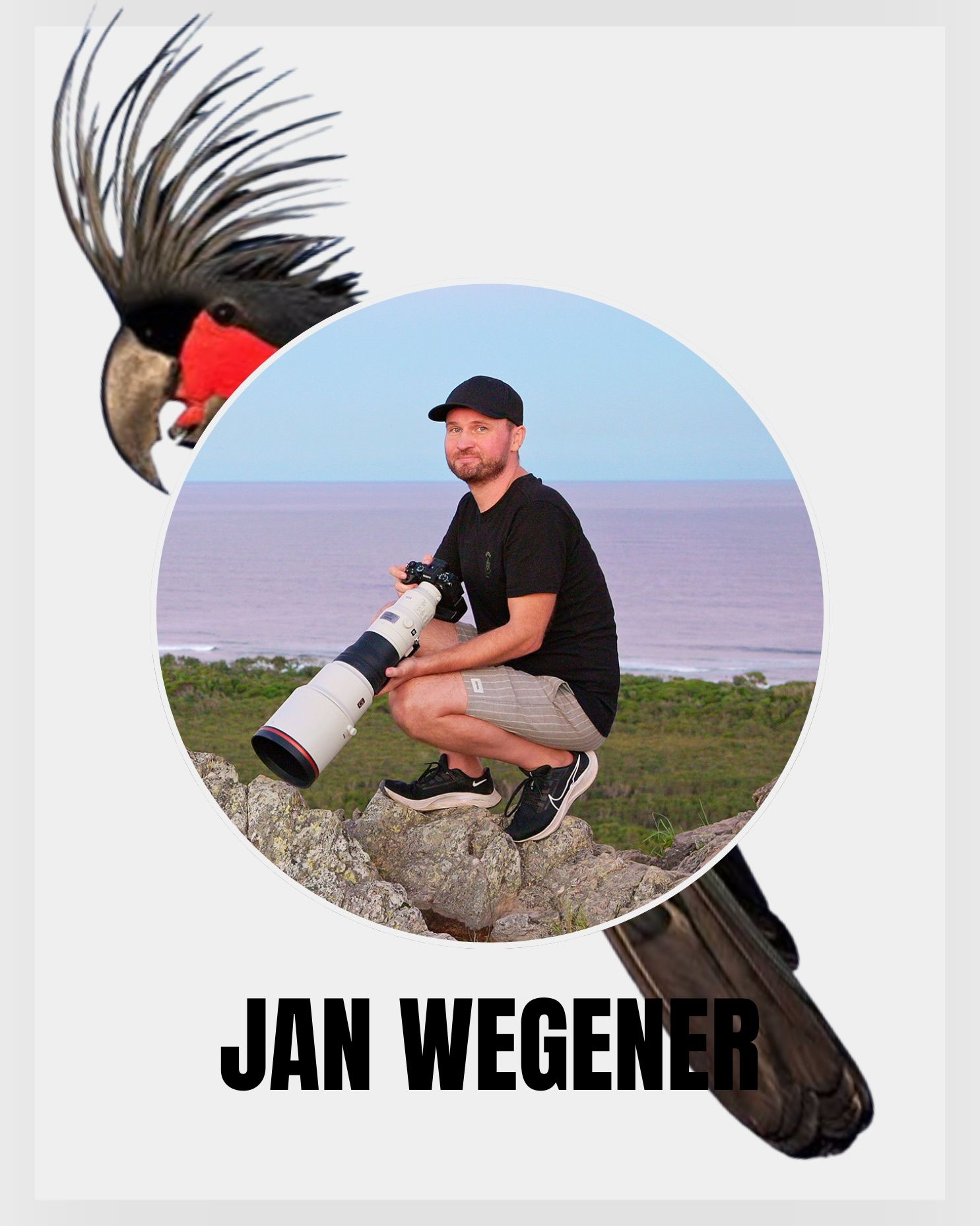 Photographer Jan Wegener with a Palm Cockatoo