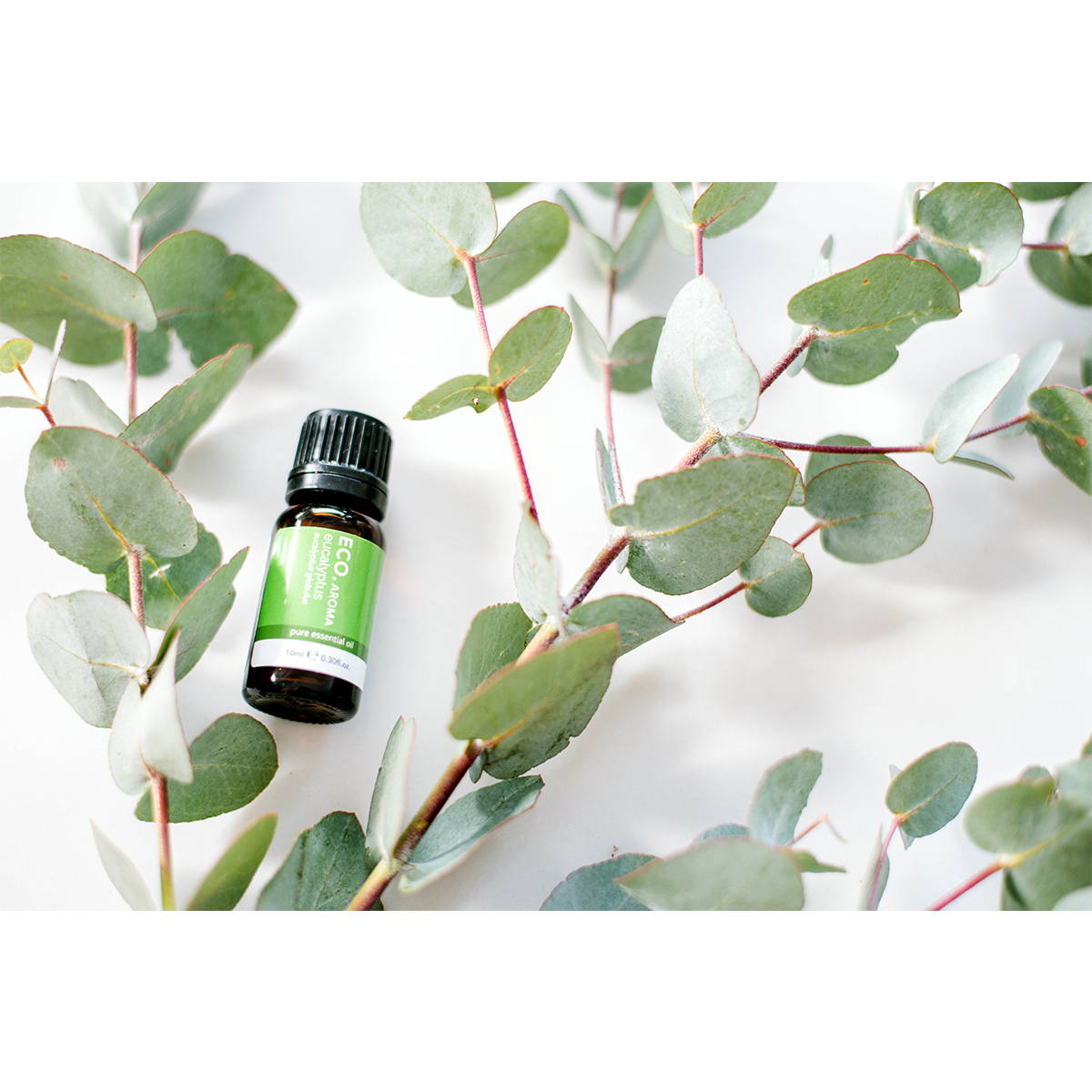 Eucalyptus Essential Oil