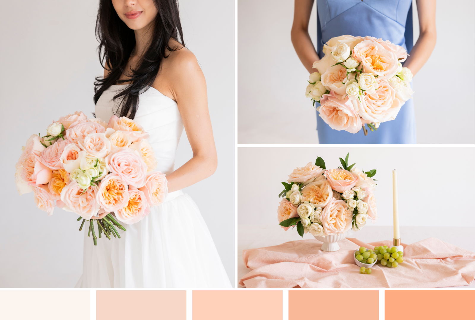 peach garden rose
