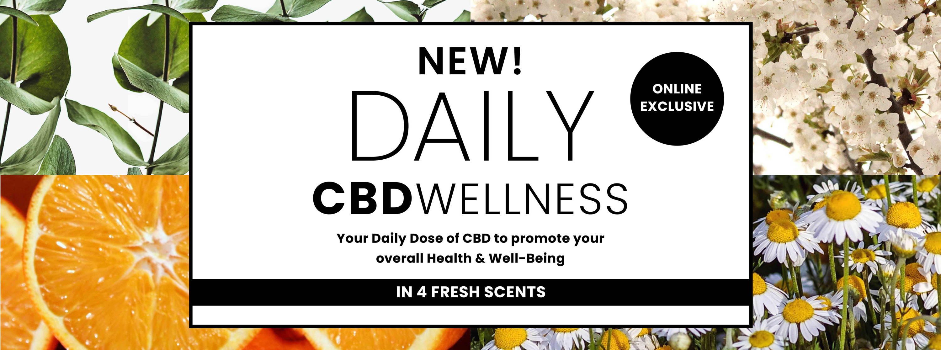 New! Daily CBD Wellness
