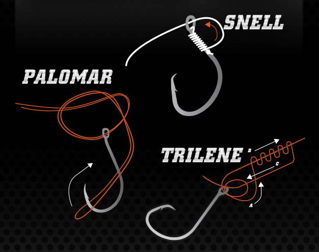 Comprehensive comparison image of Snell, Palomar, and Trilene fishing knots with step-by-step tying instructions for anglers' reference 