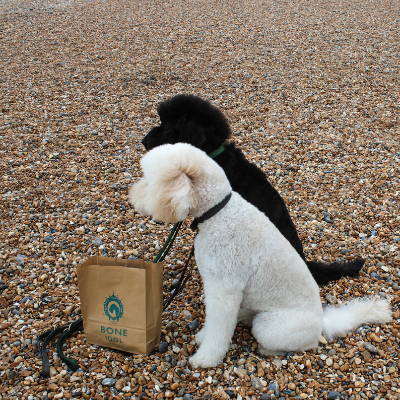 Bone Idol Dog Friendly Interactive Map, Dogs on Brighton Beach. . 