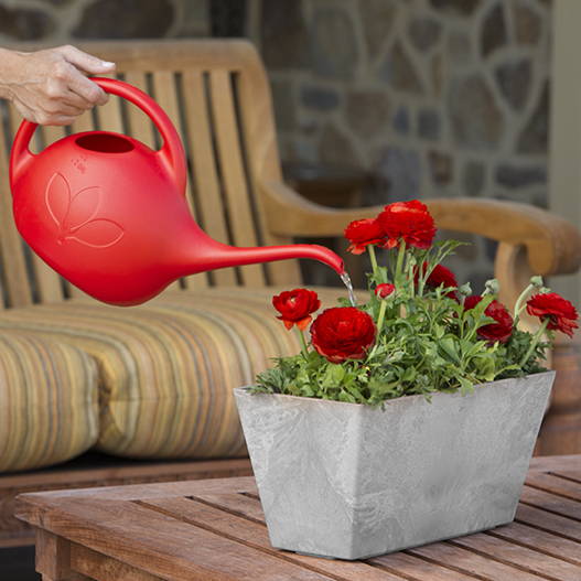 A person using a red half-gallon watering can to water their roses in a gray ella flower box on an outdoor table