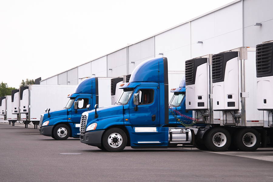 blue and white transport trucks
