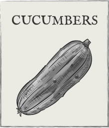 Jump down to Cucumbers growing guide