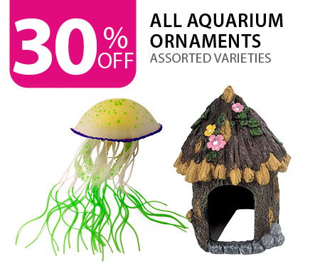 30% off all aquarium ornaments