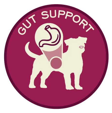 Illustration of a dog's gut with the words GUT SUPPORT