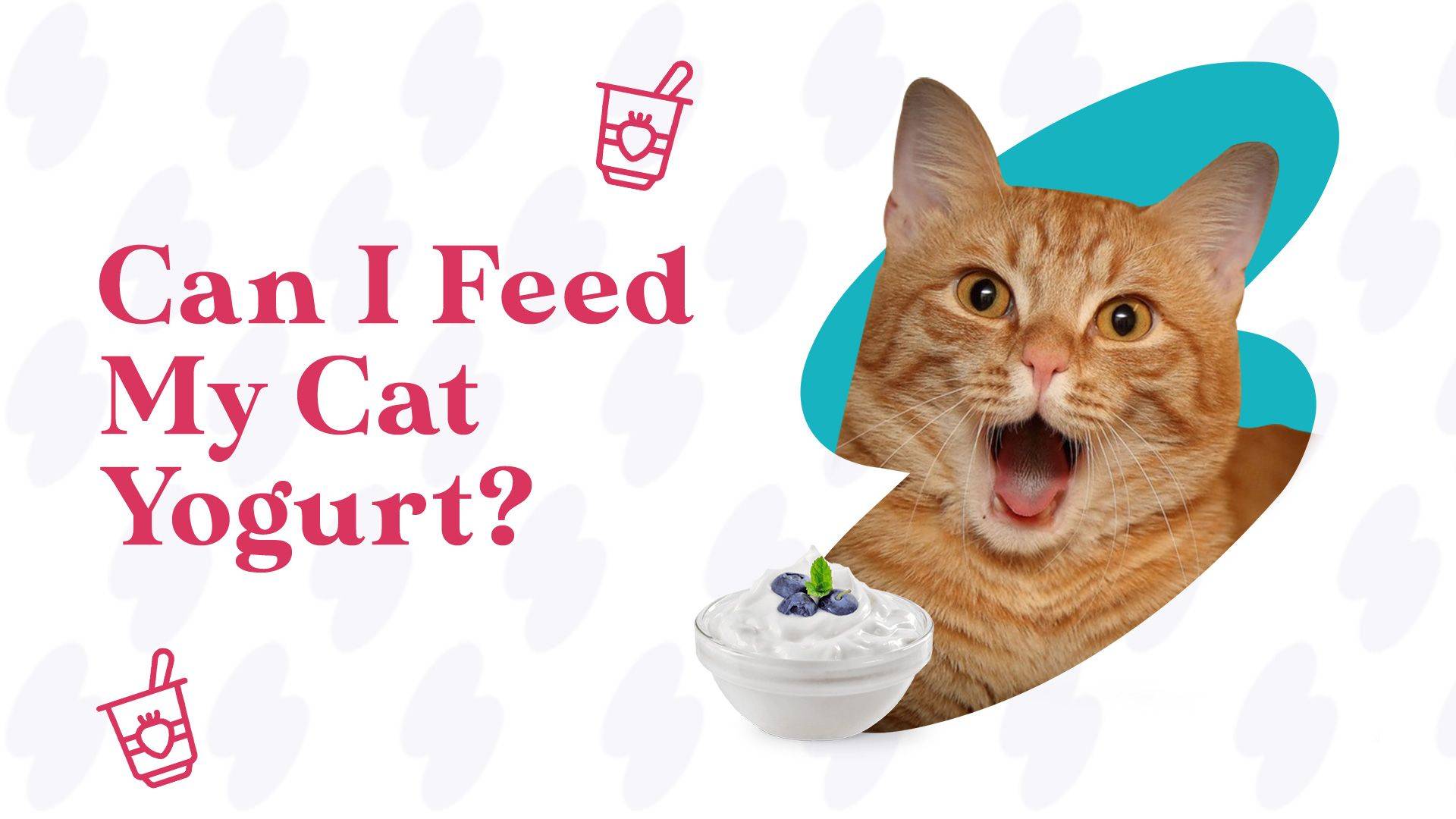 can cats eat yogurt