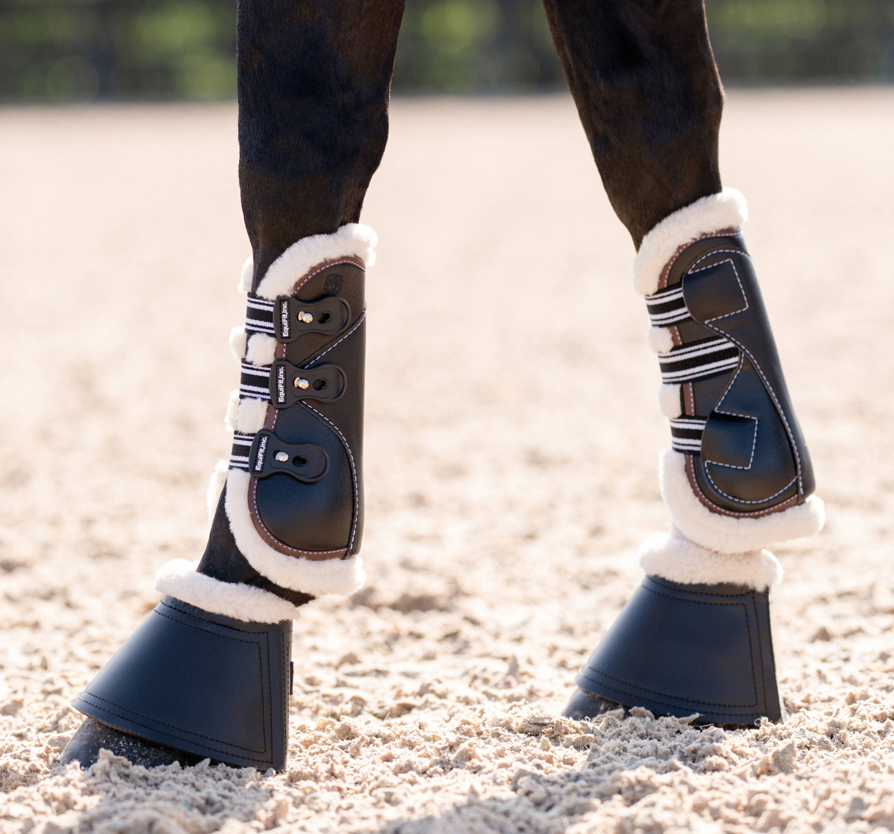 D-TEQS WITH ULTRAWOOL LINERS AND BELL BOOTS WITH SHEEPSWOOL ON A HORSE