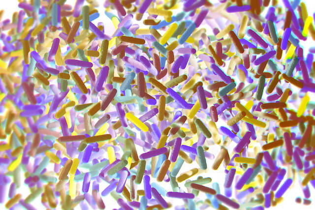 Here Are the Latest Advancements in Microbiome Health