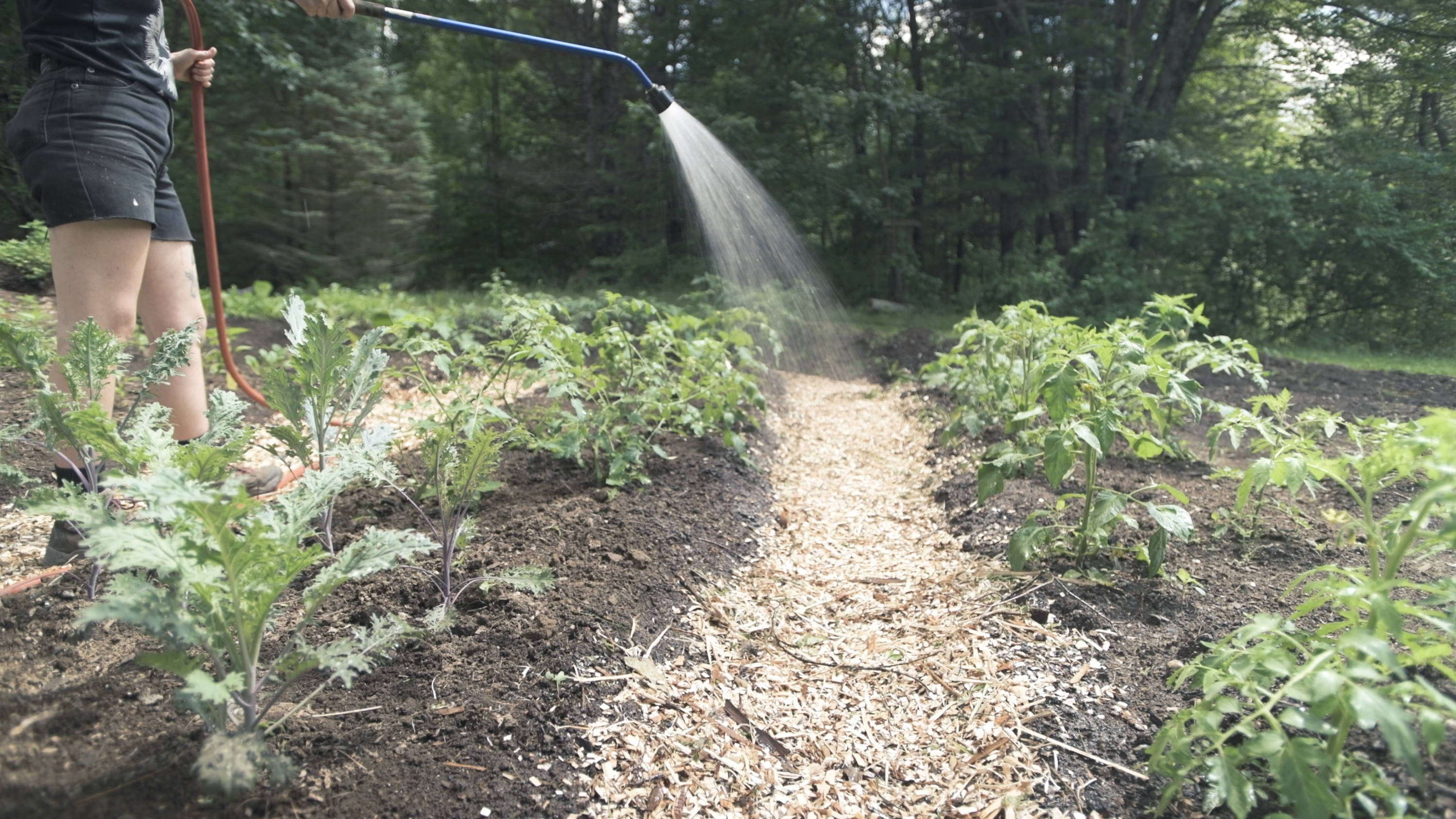 mulched garden paths for growing mushrooms