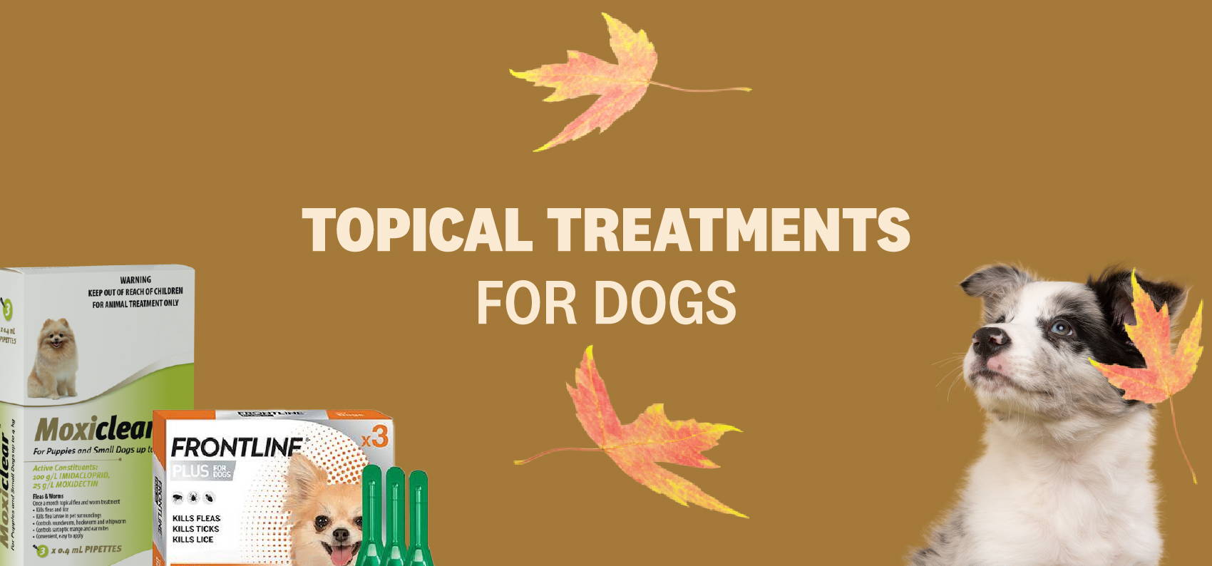 TOPICAL TREATMENTS FOR DOGS