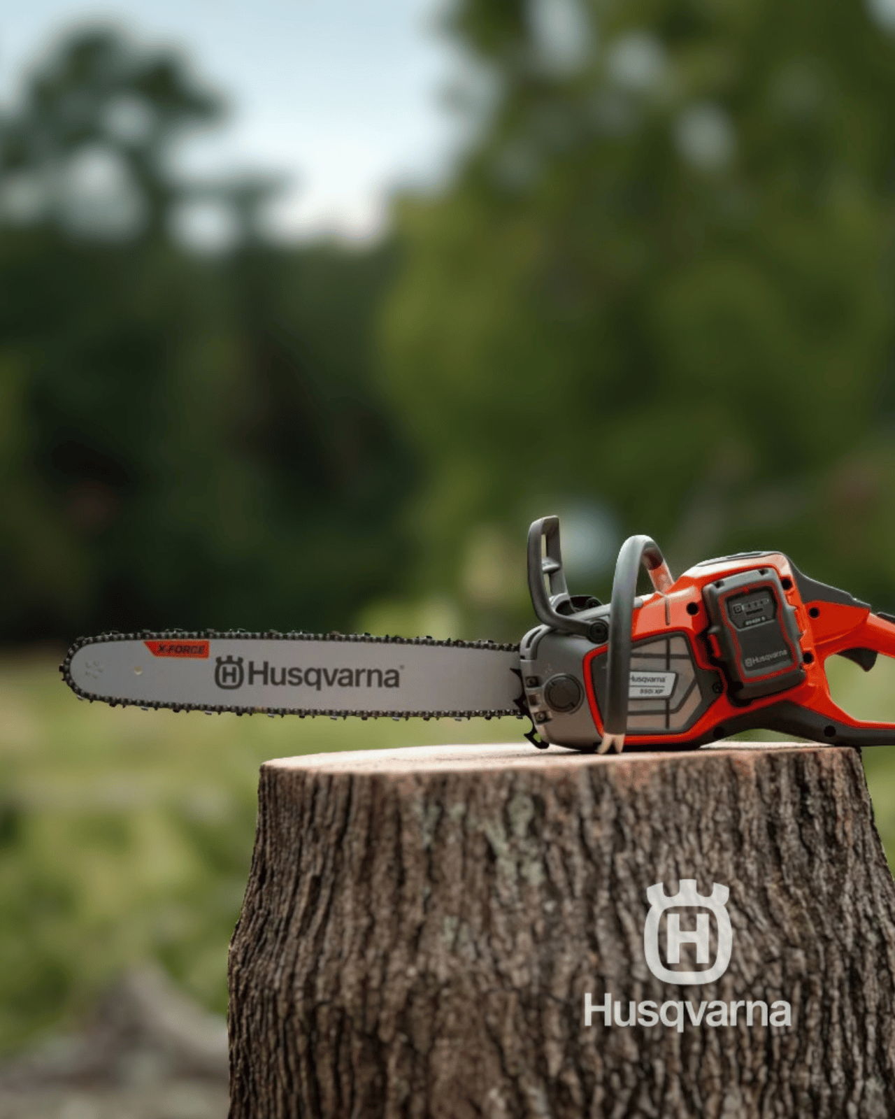 Chainsaw on a stump with a blurred natural background.