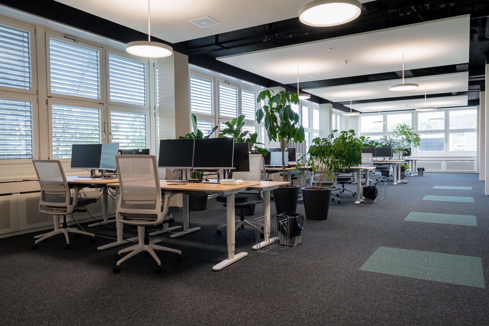 Enersuisse's open-plan office with height-adjustable ofinto desks and office chairs