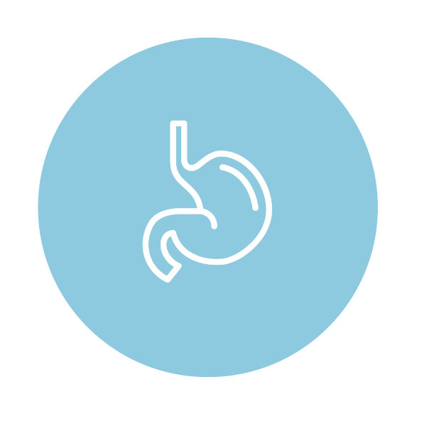 Amandean's Premium Nutrition for Gut Health