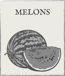 Jump down to Melons growing guide