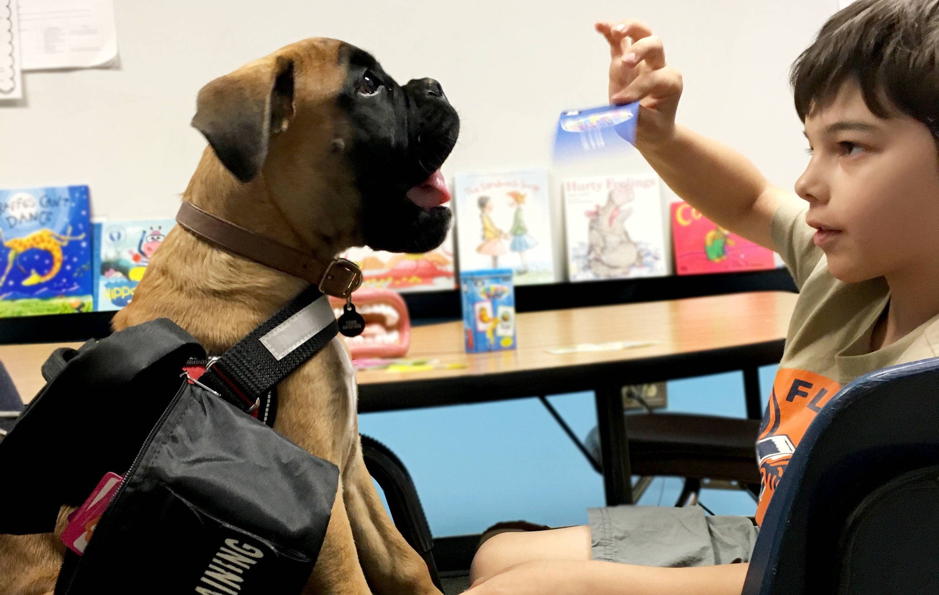 do therapy dogs actually work