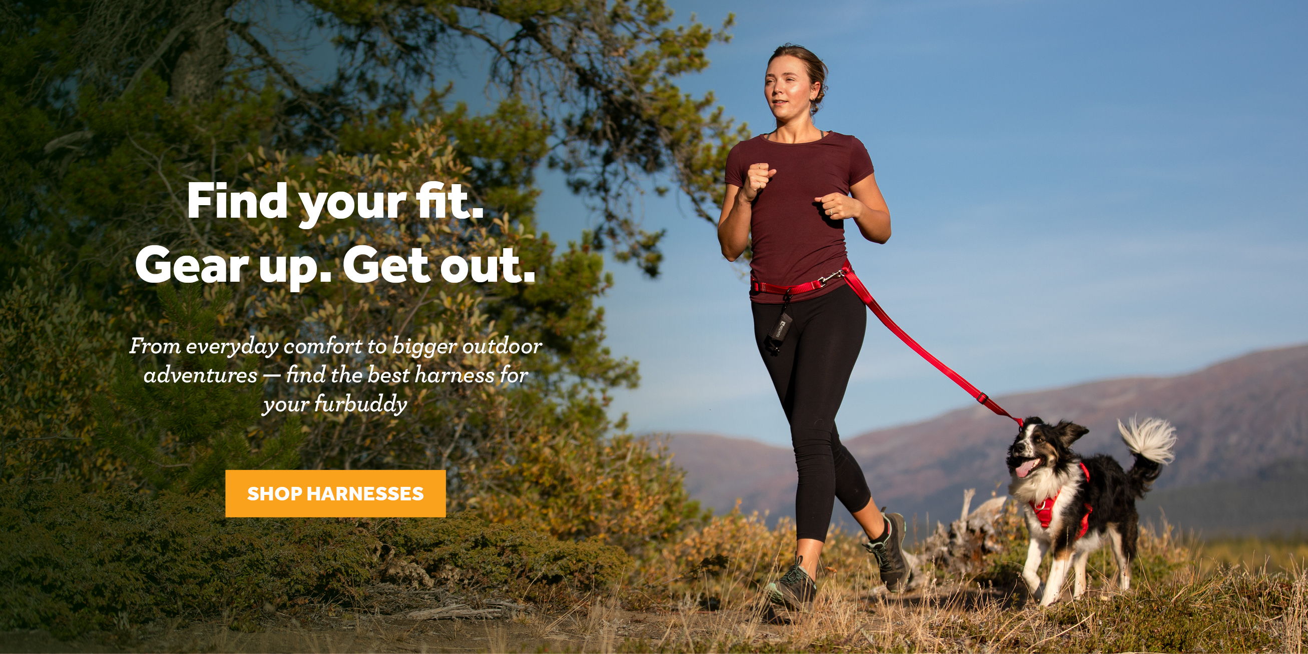 Person jogging with a dog in a natural setting.