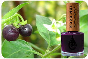 POPOLO BERRY NON TOXIC NAIL POLISH BOTTLE WITH BERRY PLANT