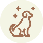 icon of dog with a sparkling coat