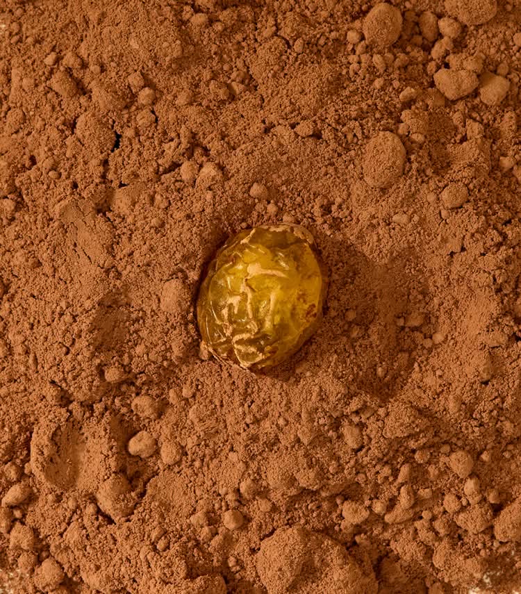 A yellow object partially buried in brown soil.