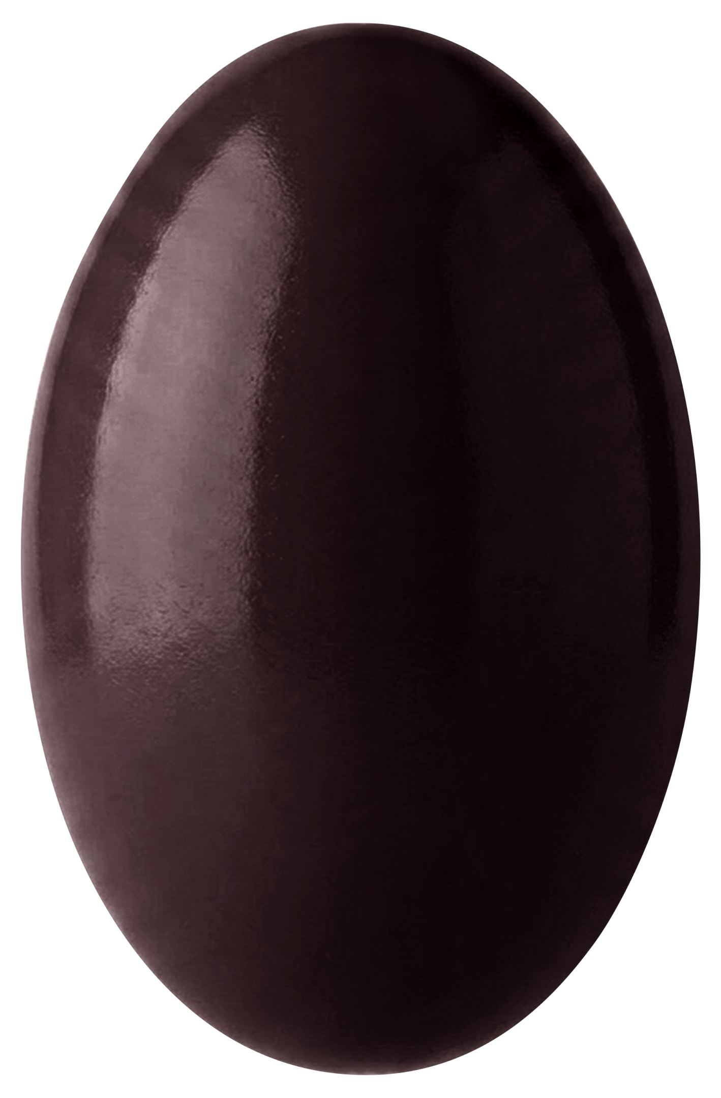 A smooth, dark chocolate egg on a plain background.
