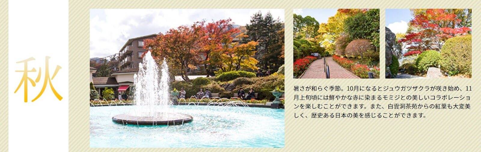 箱根強羅公園：ジュウガツサクラとの組み合わせは絶景！