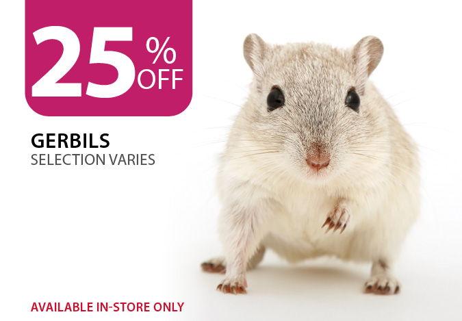 25% Off Gerbils. Available in-store only