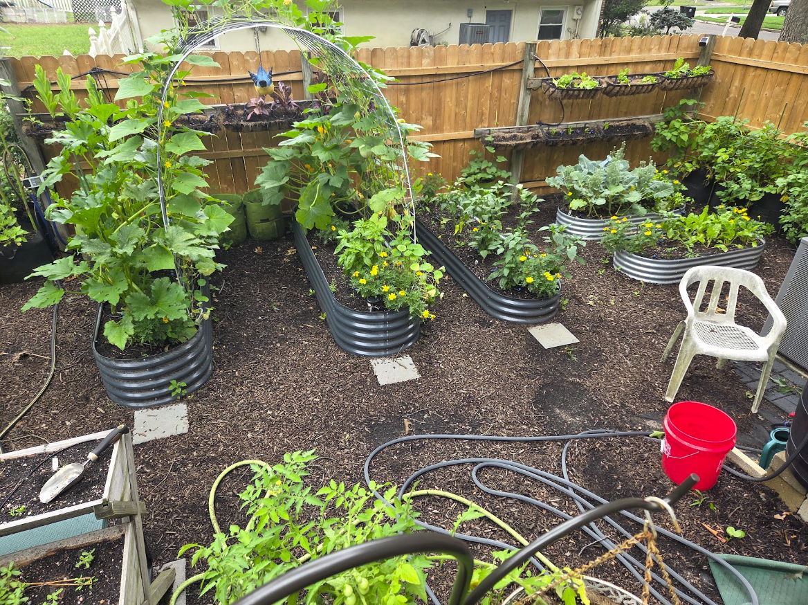 Garden with raised beds, plants, a chair, and gardening tools.