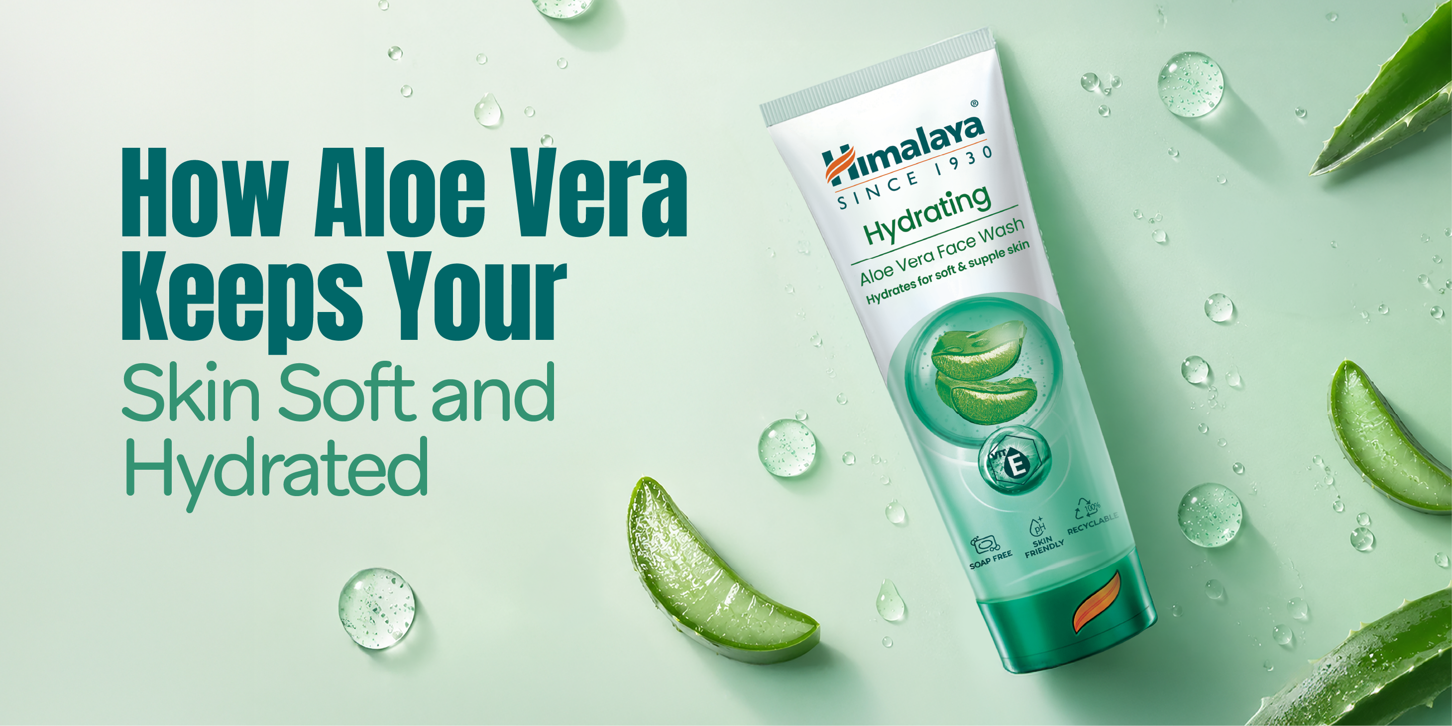 How Aloe Vera Helps Keep Skin Soft and Hydrated Every Day.png