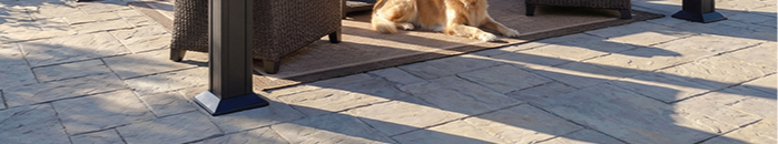 Outdoor gazebo with seating area and a dog resting on the floor.