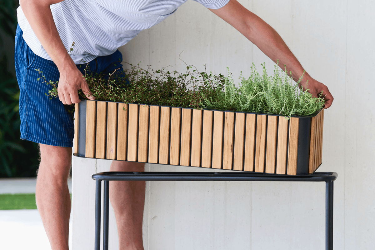 Person positioning green herbs in a long rectangular wood-slat planter box on a black metal stand near a wall.