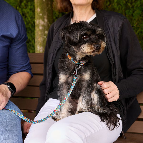A woman sitting with a small dog on a bench.