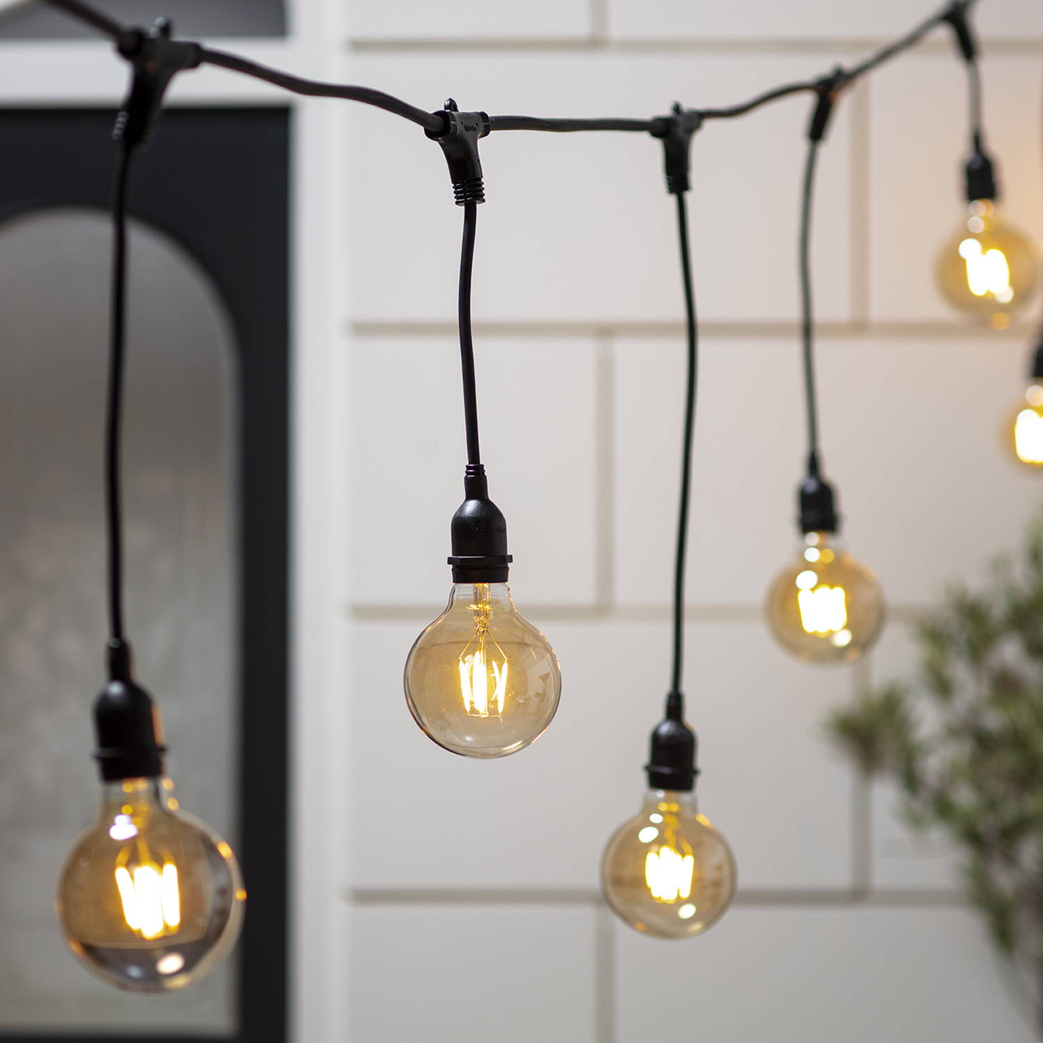 Ingenious festoons globe bulbs illuminated