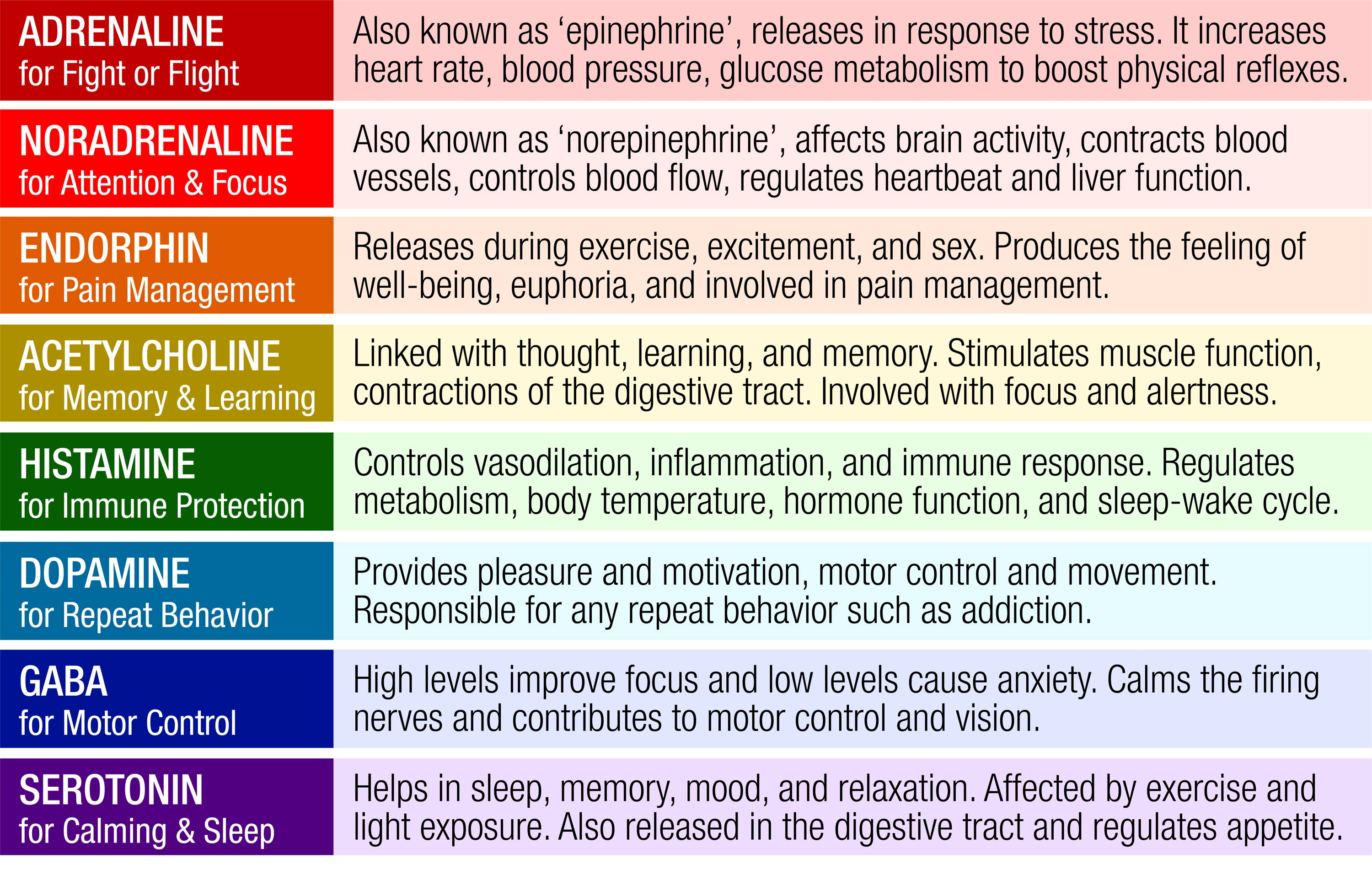 table of neurotransmitters with associated brain function