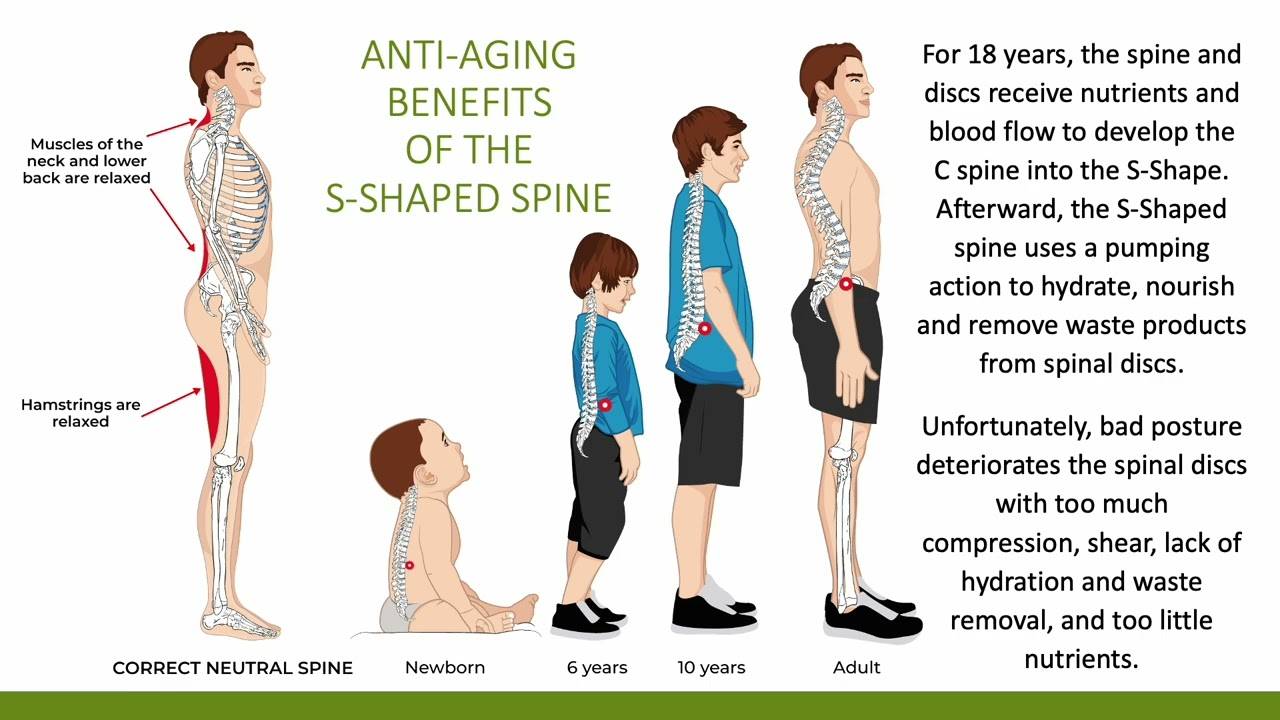 The S-Shaped Spine Presentation