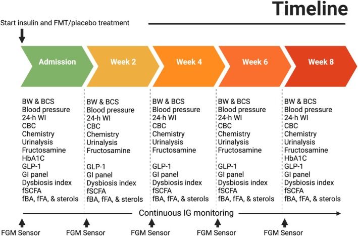 Timeline of insulin and PMT upload treatment with weekly monitoring details.