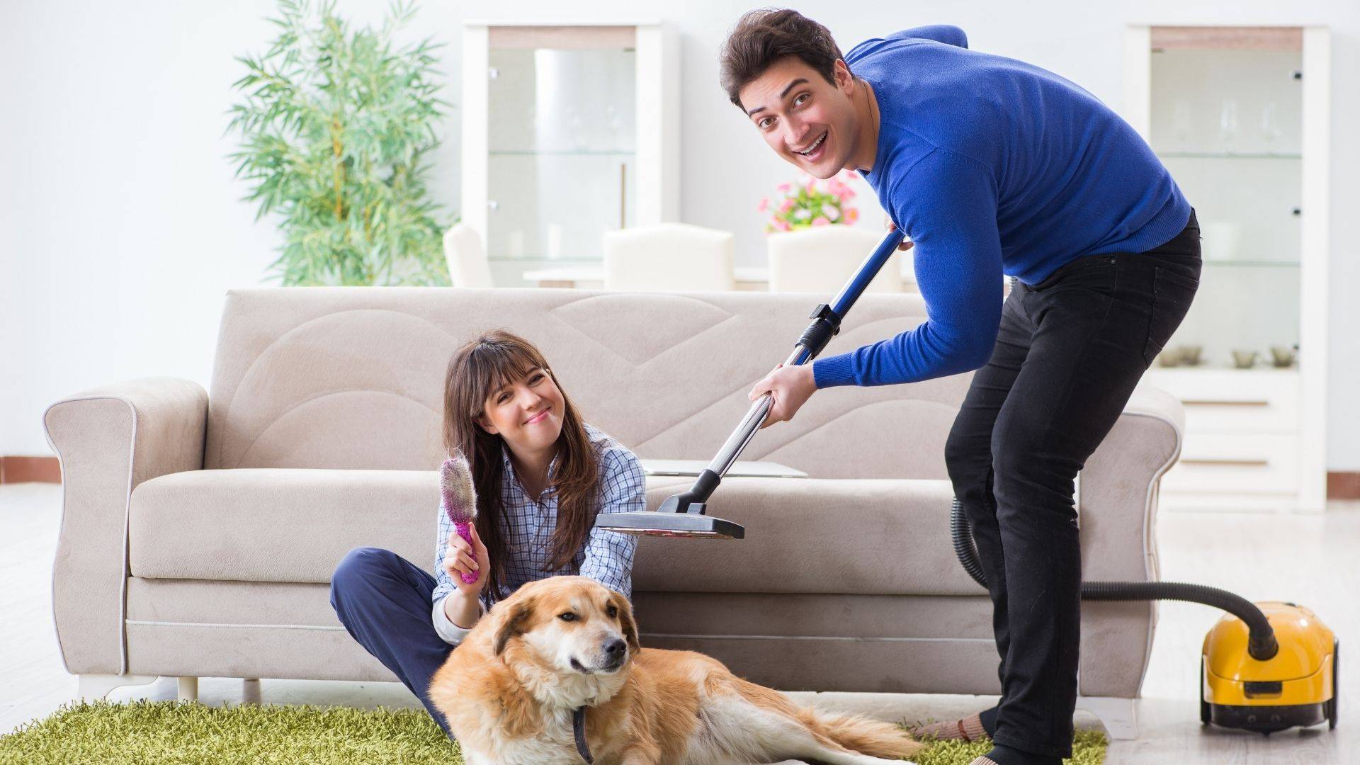 clean house with dog