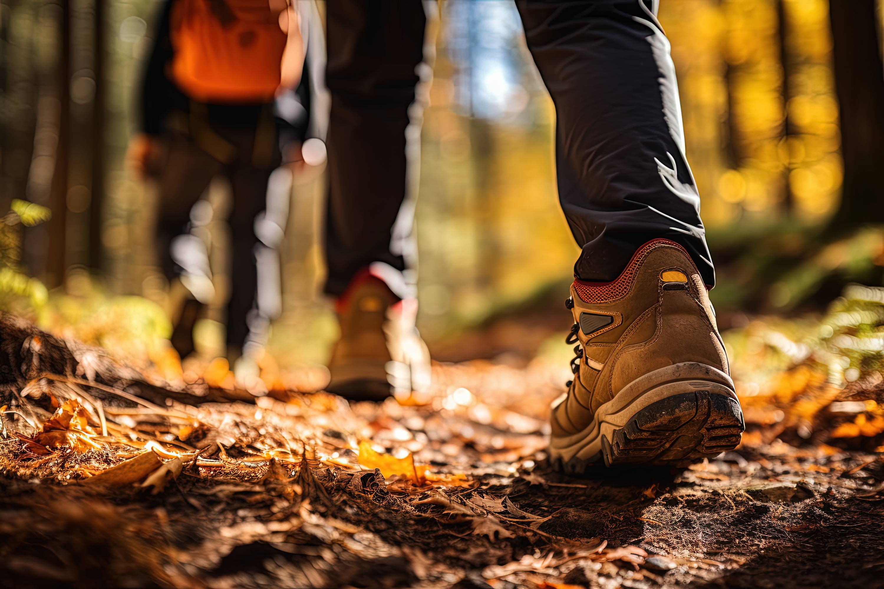 healthy veins; fall activities; stretch your legs; vigorous walk; fall foliage; football tailgate; fall festivals