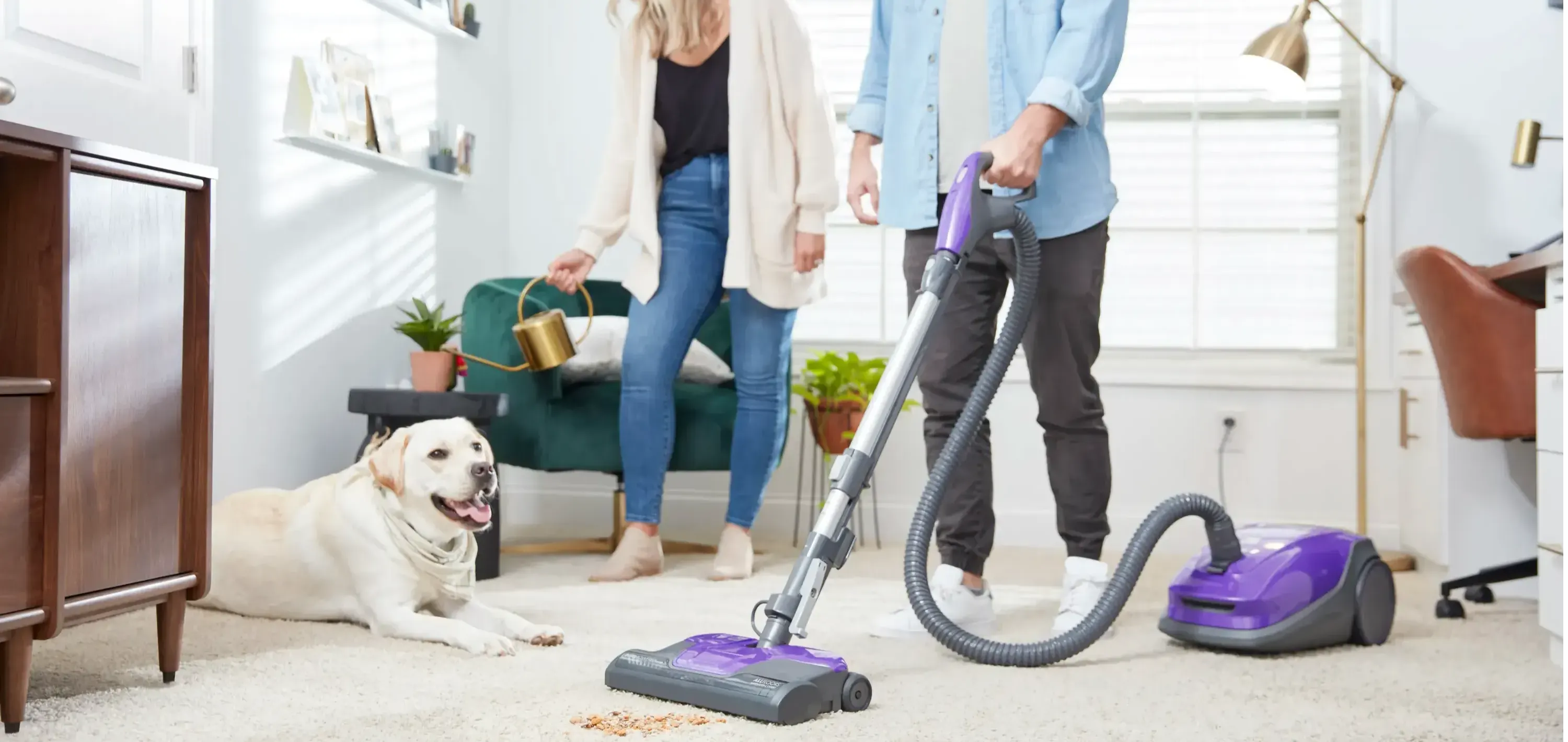 Slider image of a pet-friendly vacuum cleaning a common household mess