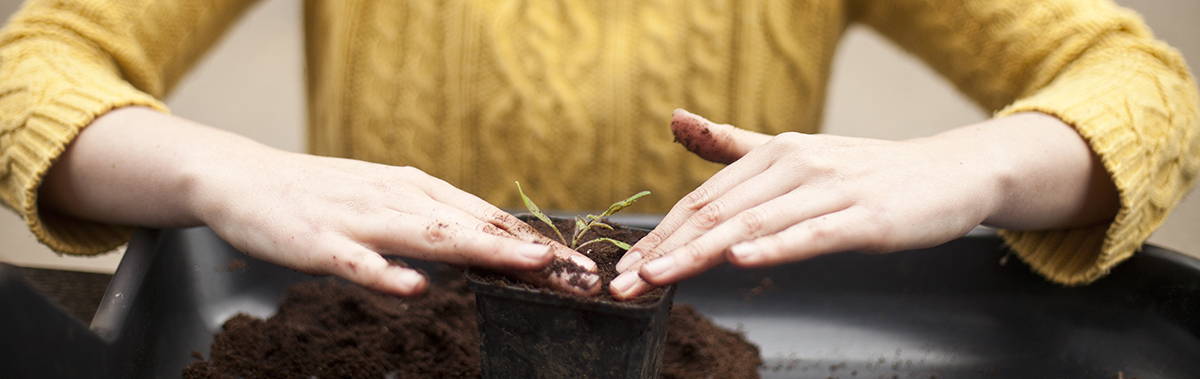 women planting a plant start