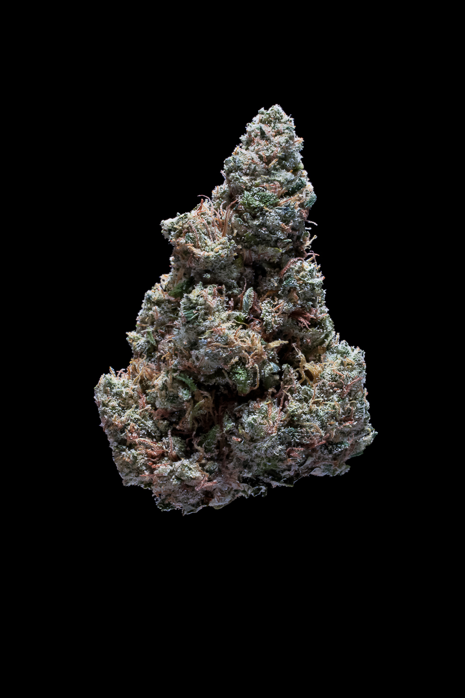 Dutch Treat, Lil Wayne's premium cannabis flowers