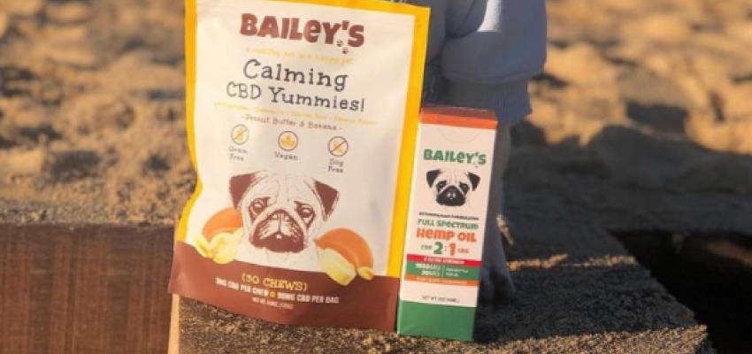Image of a calm dog sitting, accompanied by Bailey's Calming CBD Yummies and Full Spectrum Hemp Oil 2:1 products.